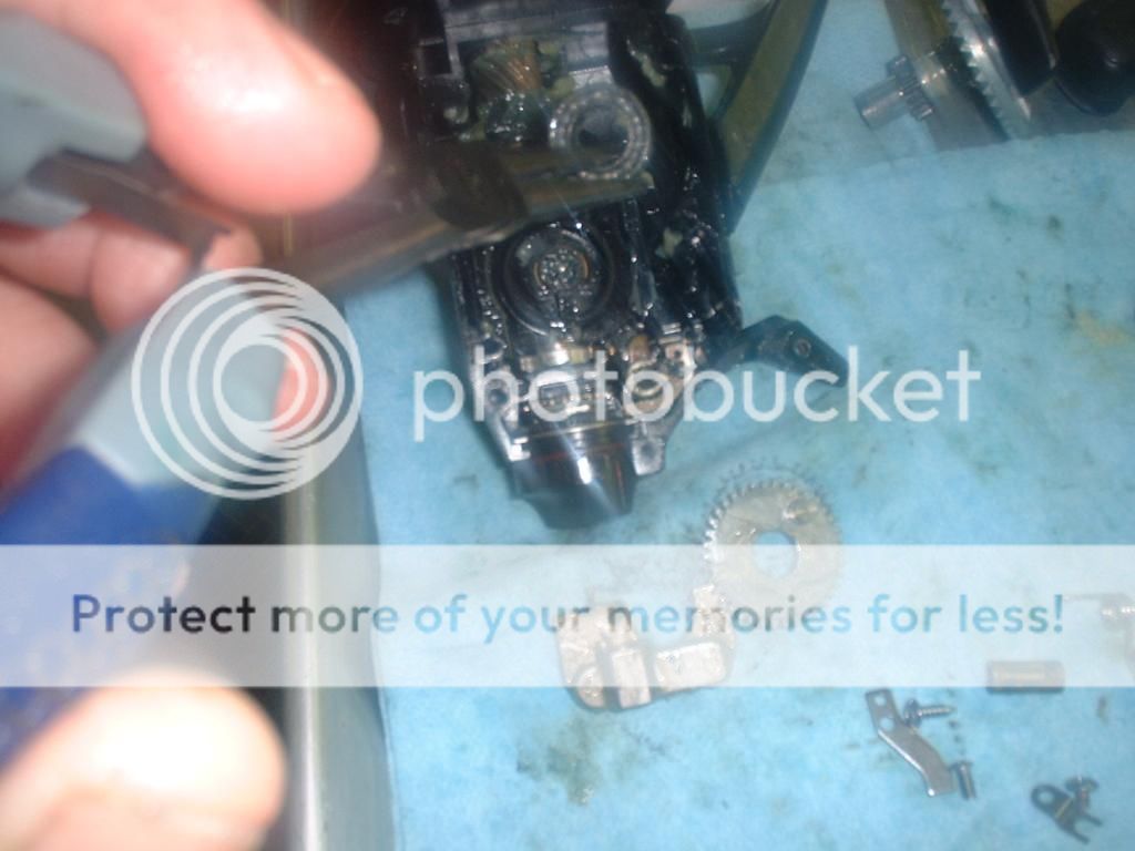 shimano baitrunner 6500 — Florida Sportsman